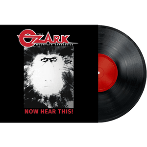 Heaven 20/20 (VINYL) — THE OZARK MOUNTAIN DAREDEVILS